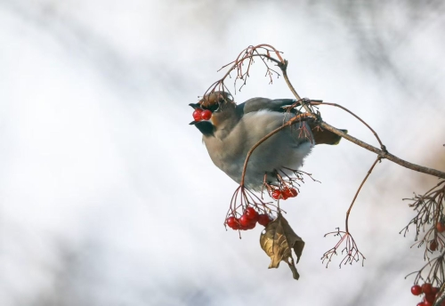 微信圖片_20260318154751_358_91