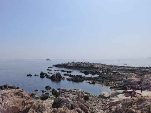 微信圖片_20260420144630_667_91